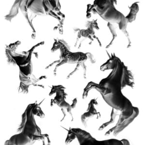 Cyanotype negatieven: paarden en eenhoorns