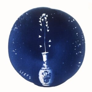 Cyanotype negatieven: vaasjes