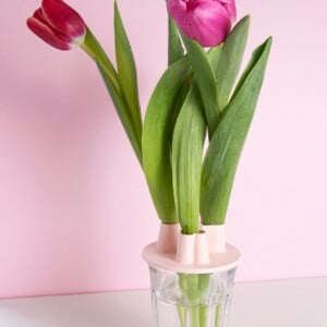 Klein hart tulpenvaas deksel | Tulpenvaas accessoire | Bloemhouder