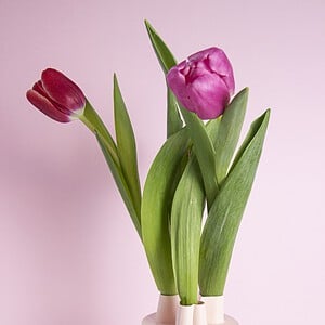 Klein hart tulpenvaas deksel | Tulpenvaas accessoire | Bloemhouder