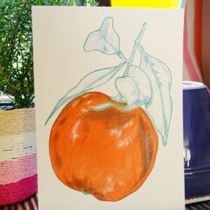 Sinaasappel A5 Print, Pen en Potlood Tekening
