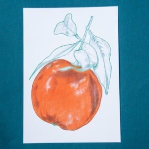 Sinaasappel A5 Print, Pen en Potlood Tekening