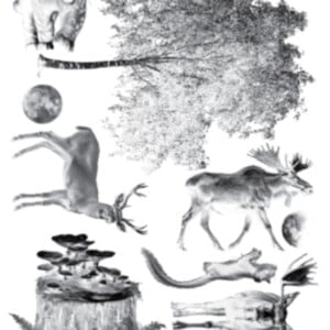 Cyanotype negatieven: set bomen