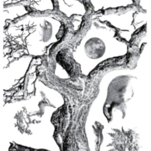 Cyanotype negatieven: set bomen