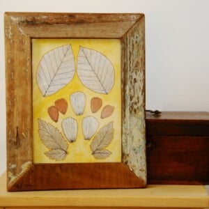 Eco print Bladeren Illustratie in Houten Lijst