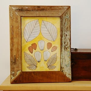 Eco print Bladeren Illustratie in Houten Lijst