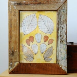 Eco print Bladeren Illustratie in Houten Lijst