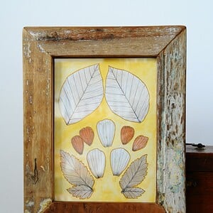 Eco print Bladeren Illustratie in Houten Lijst