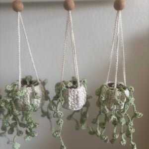 Handgemaakte hangplant 🌿