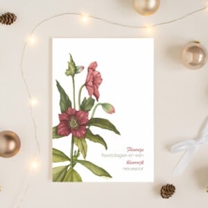 Unieke handgeschildere botanische kerstkaart met rode kerstroos - Helleborus I