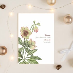 Unieke handgeschildere botanische kerstkaart met groene kerstroos - Helleborus II