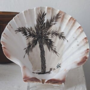 Palm op schelp