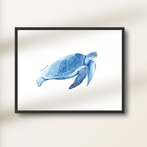 Poster - Zeeschildpad in Delfts blauw aquarel
