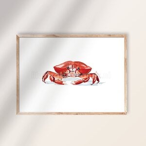 Poster – Krab in rode aquarel illustratie