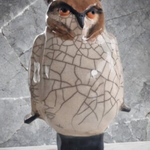 Raku gestookte Ransuil, keramiek, uniek object, geheel met de hand gemaakt