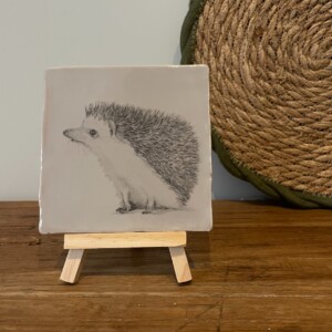 Tegeltje grijs - Egeltje potlood