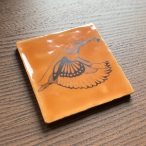 Tegeltje oranje - IJsvogel fineliner