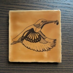 Tegeltje oranje - IJsvogel fineliner