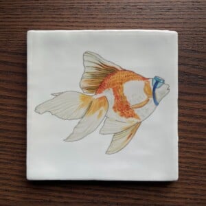 Tegeltje wit - Goudvis met duikbril