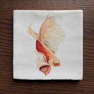 Tegeltje wit - Goudvis sluierstaart