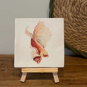 Tegeltje wit - Goudvis sluierstaart