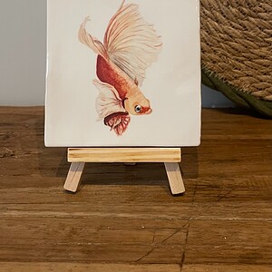 Tegeltje wit - Goudvis sluierstaart