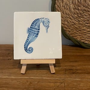 Tegeltje wit - Zeepaardje aquarel