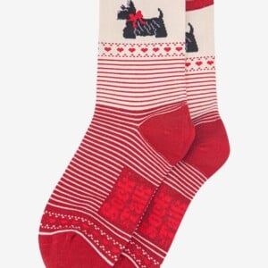 Terrier Stripe Sokken