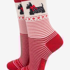 Terrier Stripe Sokken