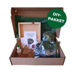 mosschilderij DIY-pakket 'Forest Vibes'