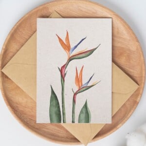 A6 wenskaart dubbel op duurzaam eco-vezelpapier met craft envelop - oranje Bird of Paradise