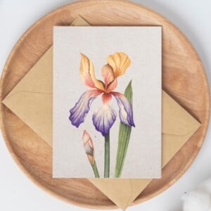 A6 wenskaart dubbel op duurzaam eco-vezelpapier met craft envelop - paars oranje Iris