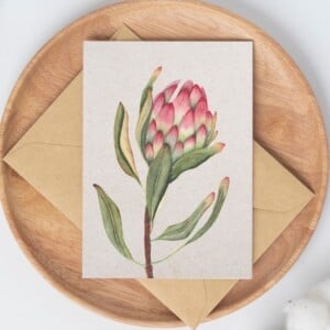 A6 wenskaart dubbel op duurzaam eco-vezelpapier met craft envelop - roze Protea III