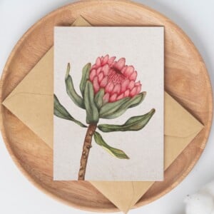 A6 wenskaart dubbel op duurzaam eco-vezelpapier met craft envelop - roze Protea II