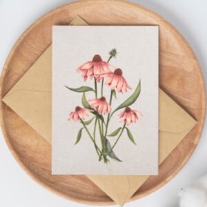 A6 wenskaart dubbel op duurzaam eco-vezelpapier met craft envelop - roze Echinacea