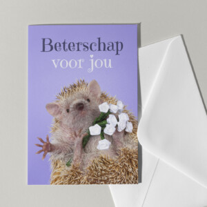 Beterschap kaart met tenrec