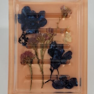 Bloemen perzik zeep houder