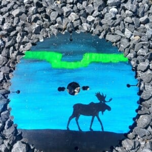 Cirkelzaagblad – “Northerlights”