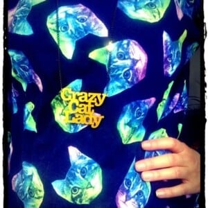 Crazy Catlady! naamketting (zwart)