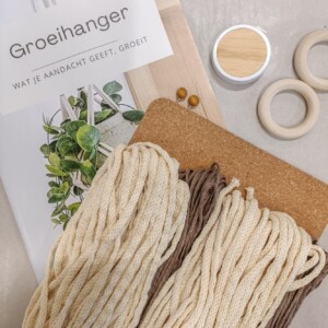 DIY macramé plantenhanger