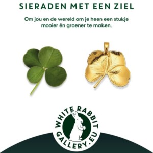 Echt madeliefje hanger