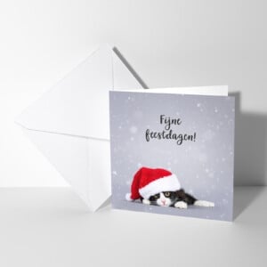 Fijne feestdagen kaart met poes