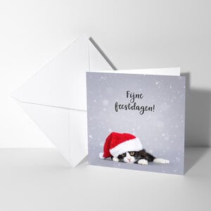 Fijne feestdagen kaart met poes
