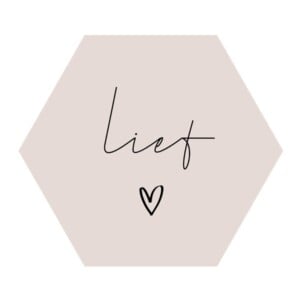 Forex muurcirkel Hexagon – Lief