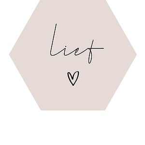 Forex muurcirkel Hexagon – Lief