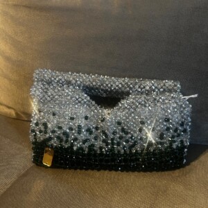 Green/silver purse