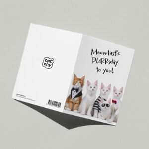 Happy Purrsday verjaardagskaart