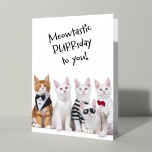 Happy Purrsday verjaardagskaart