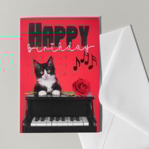 Kaartje Happy Birthday met kat