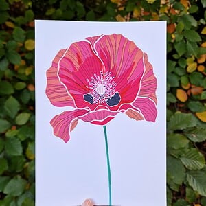 Klaproos A5 Print, Rode Bloem Illustratie